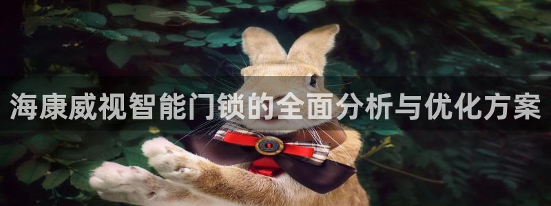 利记彩票网网址官网hd71：海康威视智能门锁的全面分析与优化