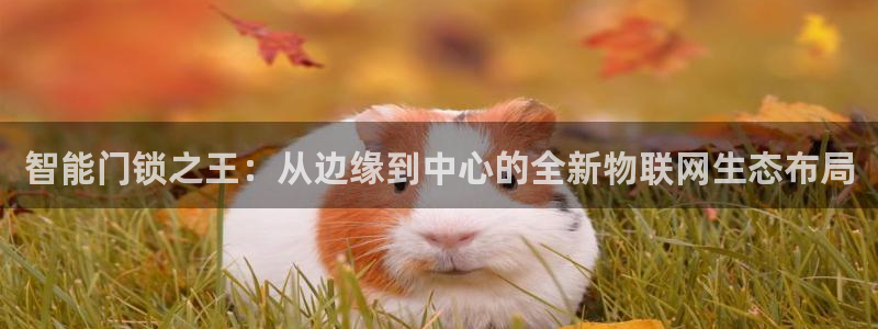 利记sbobet官网电脑版：智能门锁之王：从边缘到中心的全新