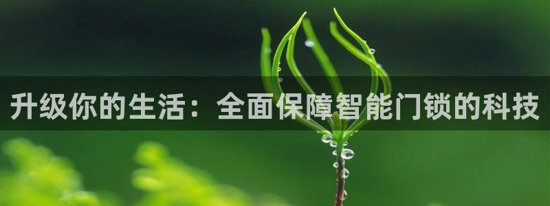 利记sbobe官网：升级你的生活：全面保障智能门锁的科技