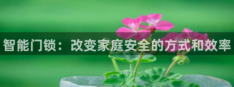 万利记官网：智能门锁：改变家庭安全的方式和效率