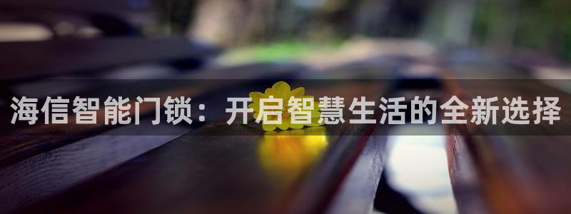 利记 利记官网：海信智能门锁：开启智慧生活的全新选择