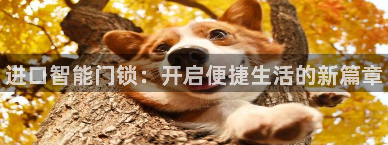 利记体育平台官网：进口智能门锁：开启便捷生活的新篇章