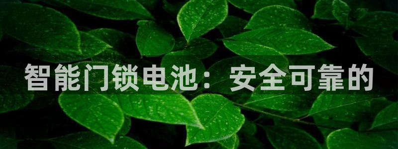 利记官网平台入口：智能门锁电池：安全可靠的