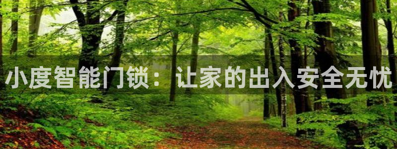 万利记菜单价格查询官网：小度智能门锁：让家的出入安全无忧