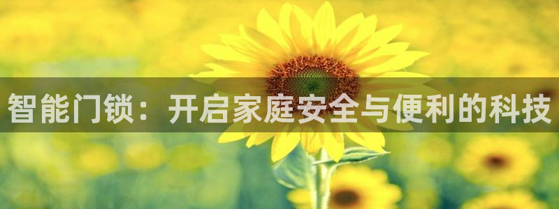 万利记加盟官网电话：智能门锁：开启家庭安全与便利的科技