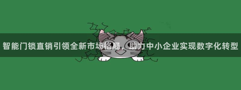 大利来记官网：智能门锁直销引领全新市场格局，助力中小企业实现