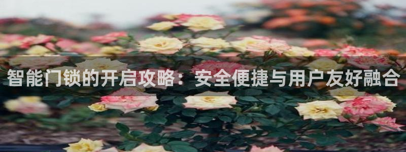 利记官网平台入口：智能门锁的开启攻略：安全便捷与用户友好融合
