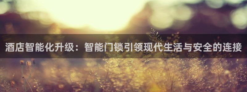 利记sbobet官网电脑版：酒店智能化升级：智能门锁引领现代