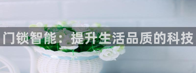 利记投注平台官网：门锁智能：提升生活品质的科技