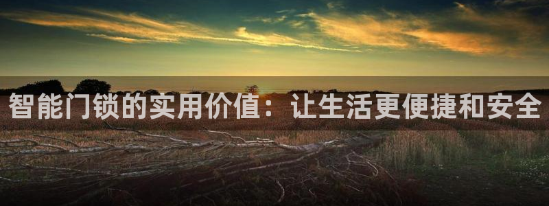 香港利记集团官网旗舰店：智能门锁的实用价值：让生活更便捷和安