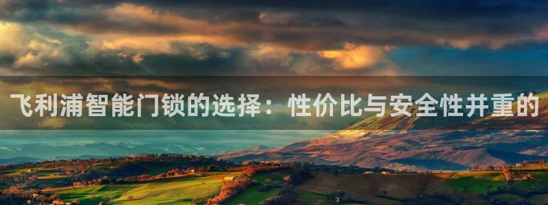 林利记官网：飞利浦智能门锁的选择：性价比与安全性并重的