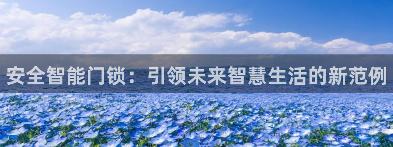 利记官网官方网址：安全智能门锁：引领未来智慧生活的新范例