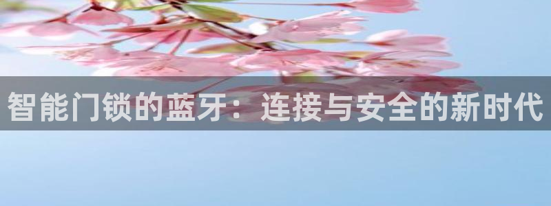万利记官方旗舰店官网：智能门锁的蓝牙：连接与安全的新时代