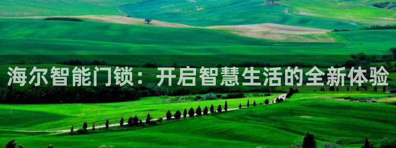 利记手机官网电子mg官方网站：海尔智能门锁：开启智慧生活的全