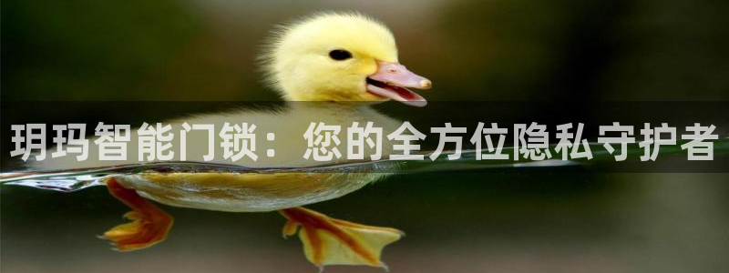 利记官网app下载网址日博官网网址：玥玛智能门锁：您的全方位