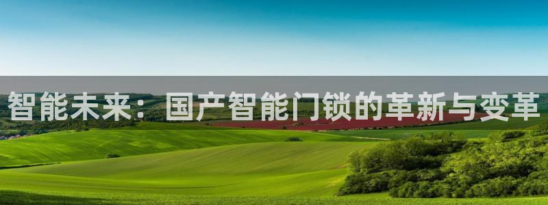 利记国际有限公司官网：智能未来：国产智能门锁的革新与变革
