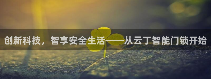 利记官网：创新科技，智享安全生活——从云丁智能门锁开始