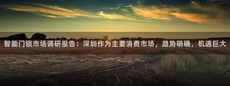 利记彩票平台官网：智能门锁市场调研报告：深圳作为主要消费市场